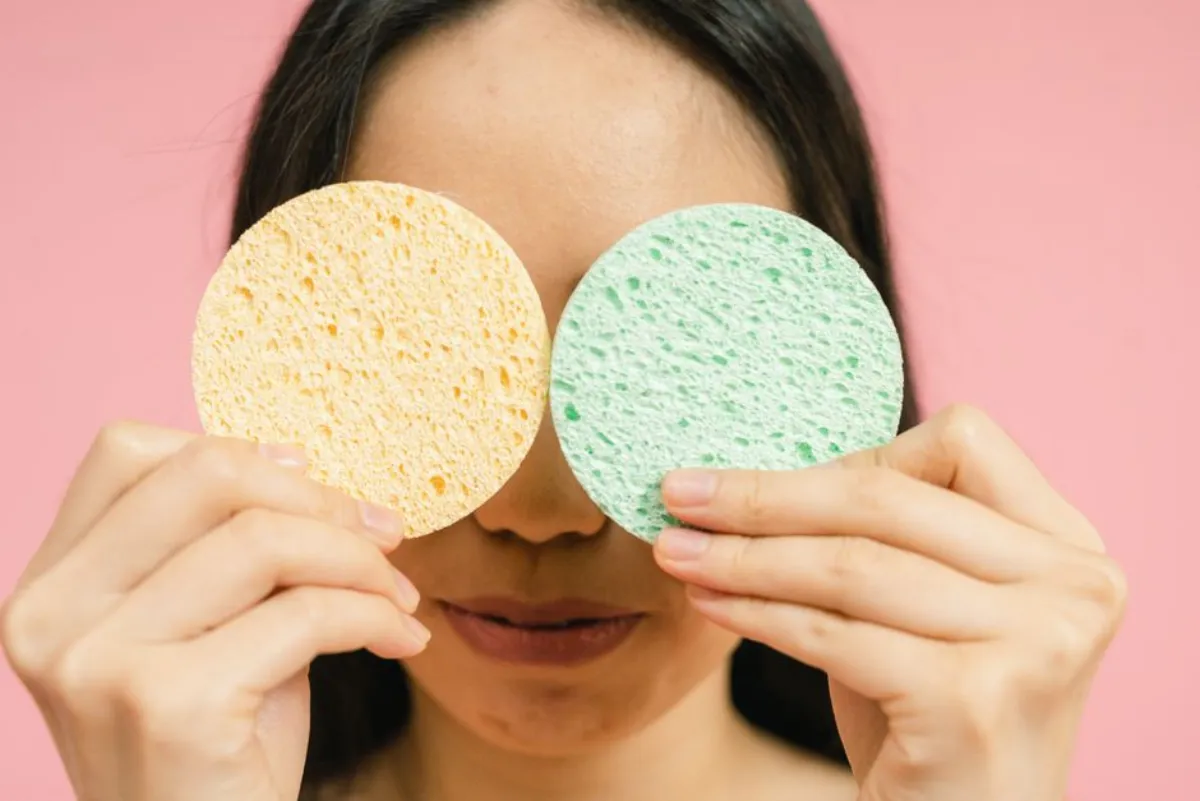 sponge cartoon